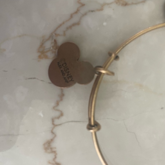 5 Alex and Ani bracelets - Picture 8 of 10